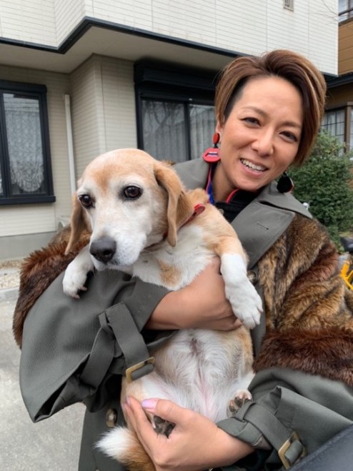 �T���o�_���T�[��Hiei����