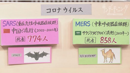 サンデーモーニング が手作りフリップにこだわるワケ 硬派な話題だからこそ伝わるものがある Oricon News