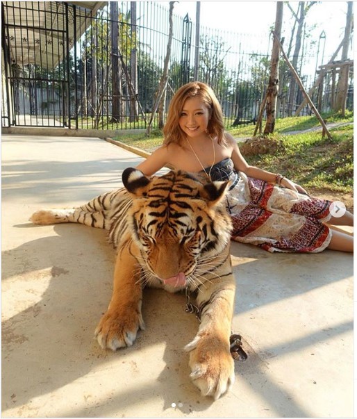 CYBERJAPAN DANCERS��KAZUE