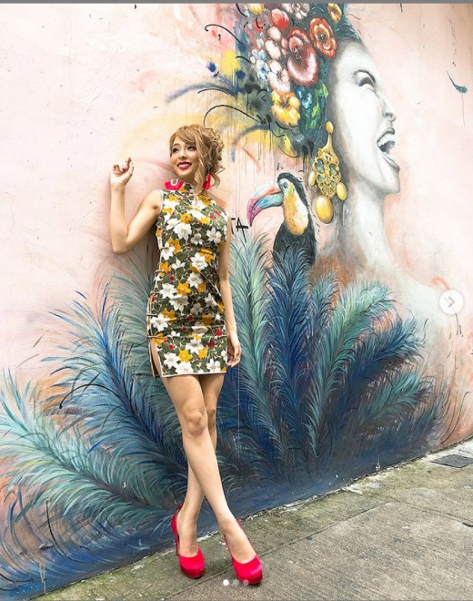 CYBERJAPAN DANCERS��RIRI