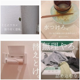 �U�߂̎U�炩�������̂��A�b�v����A�J�E���g