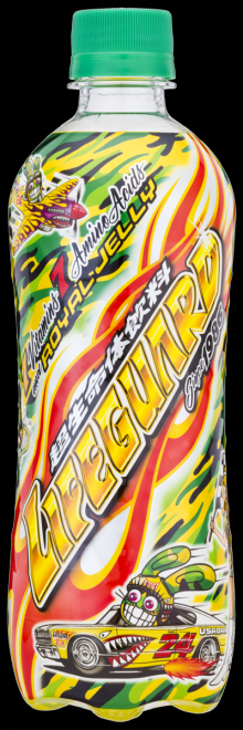 ���C�t�K�[�h�i2018�N�����j���I��