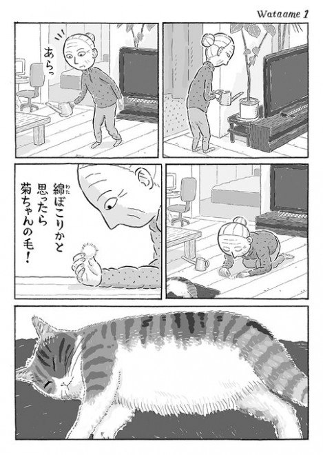 夫婦が描くネコとの日常漫画に反響 猫ちゃんが生命力をもたらしてくれる Oricon News