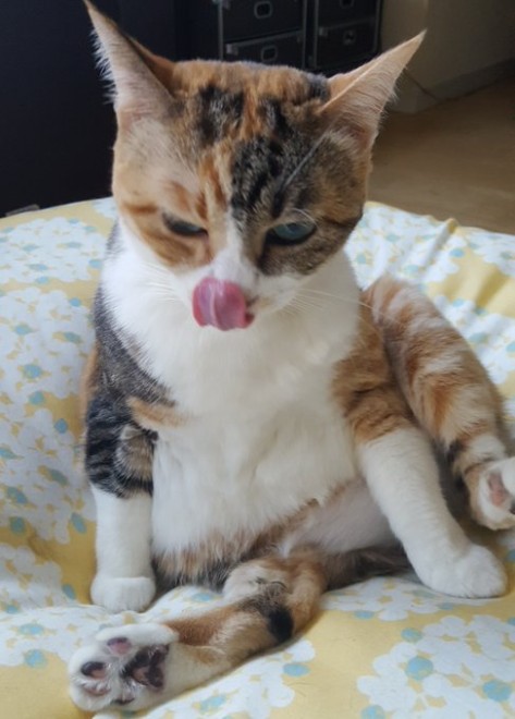 �ߌ�O���A�тÂ��낢���Ă�Ƃ��O�̉����C�ɂȂ����e�����ł�