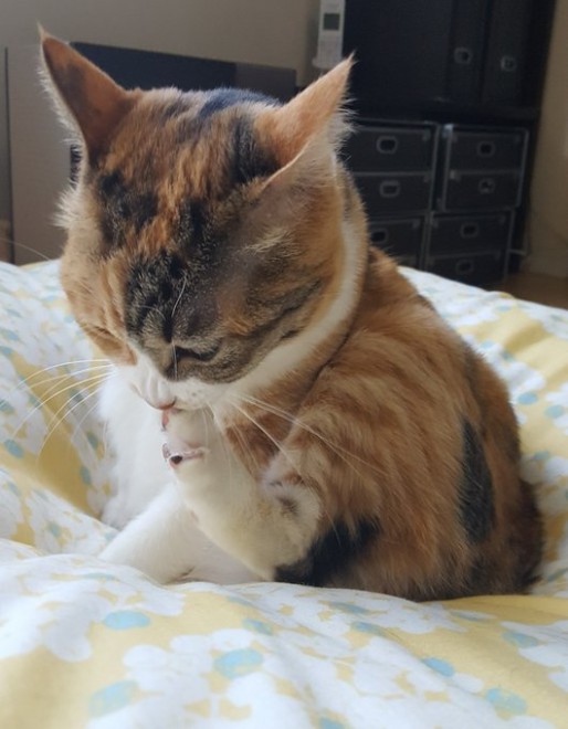 �ߌ�O���A�тÂ��낢���Ă�Ƃ��O�̉����C�ɂȂ����e�����ł�