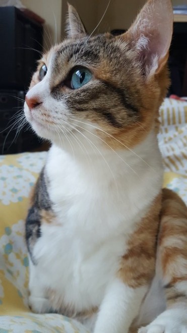 �ߌ�O���A�тÂ��낢���Ă�Ƃ��O�̉����C�ɂȂ����e�����ł�