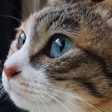 �ߌ�O���A�тÂ��낢���Ă�Ƃ��O�̉����C�ɂȂ����e�����ł�