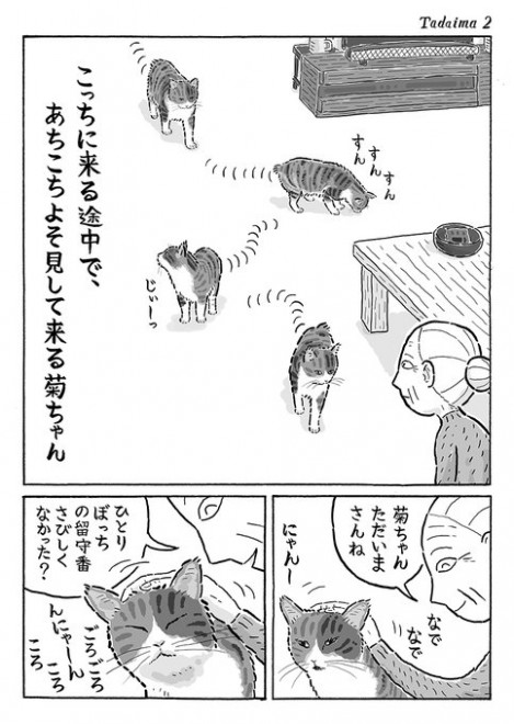 �u�e����񂽂����܁v