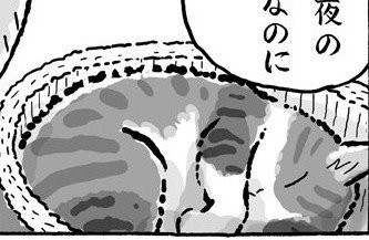 �����Ă���e�����B���ۂ́�