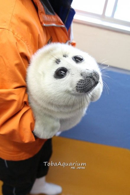 3��17�����_�ő̏d��8.7kg������