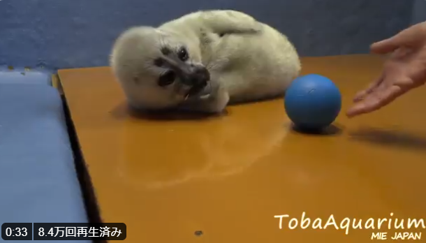 �`���b�Ƌ�����������