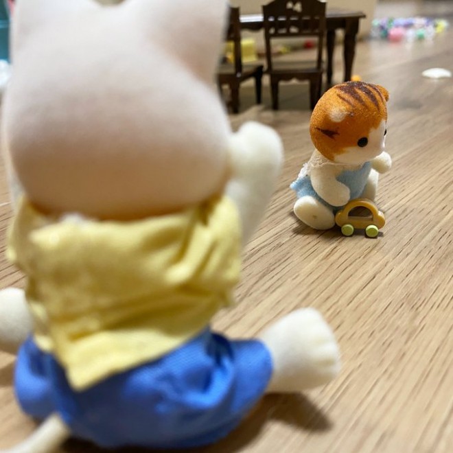 �u���Ȃ����Ȃ��΂��I�v����̖������E