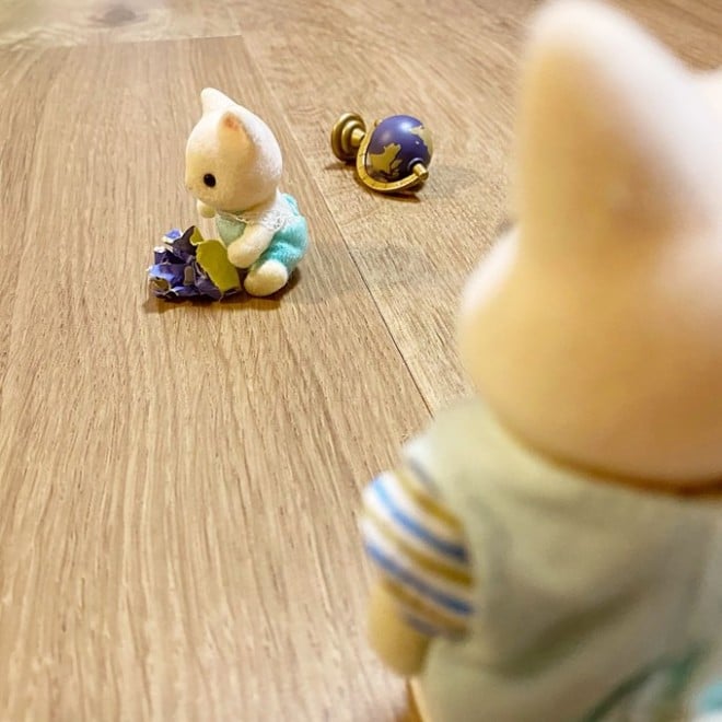 �v���[���g����������łĂ���