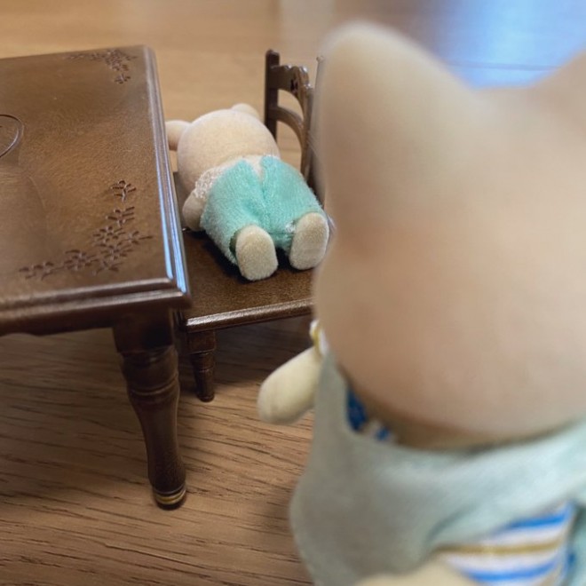 �[���₯�ɐÂ����Ǝv��������̉e�ŐQ�Ă���