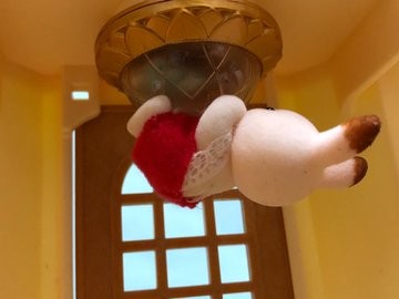 ���N�̃S�[���f���E�B�[�N�@���߂�ȁA�ǂ��ɂ��A��čs���Ă������Ȃ��āc