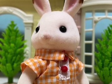 �ߏ��̌����B�����ł����Ȃ��ƏZ�����������񂾂낤���c�B