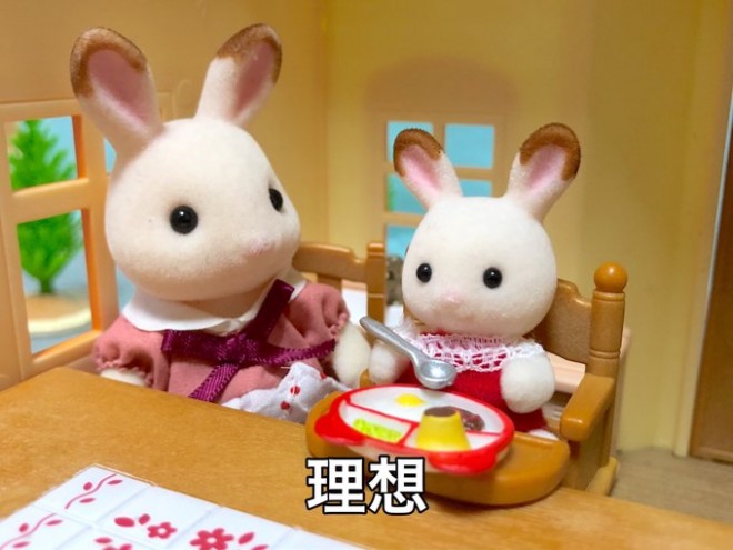 �H���̂����͍��C���K�v�ł�