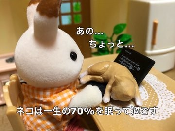 �g���ǂ���ɍ��郀�_�m��