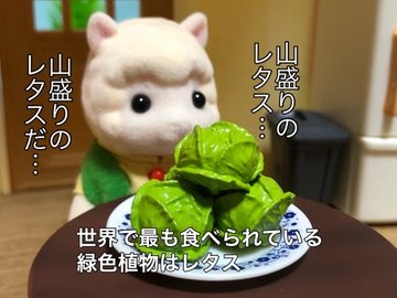 �g���ǂ���ɍ��郀�_�m��