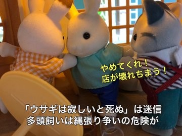 ���΂炵�����_�m��