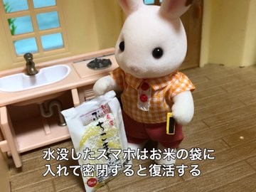 �m���Ă����Ɩ��ɗ��m��