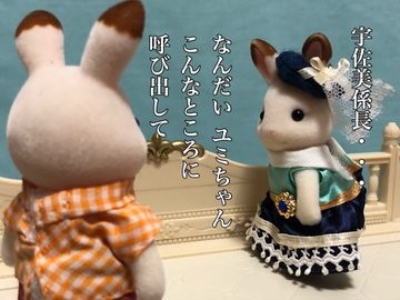 �p�p�͕��ʂɋN�����܂��傤