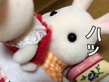 �p�p�͕��ʂɋN�����܂��傤