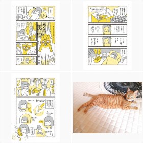 ����u�L�̂�������v�u3�{���̂����݂����v�t�H�g�M�������[