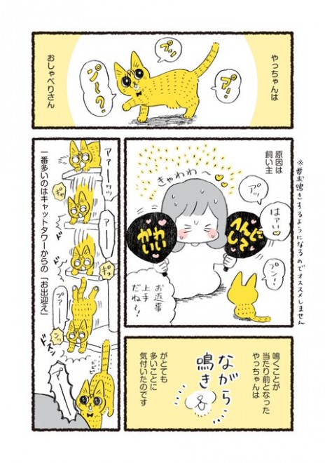 画像・写真 | 漫画「猫のやっちゃん」「3本足のしじみちゃん」フォト