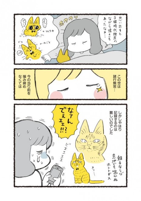 ��������́u�Ȃ�����v