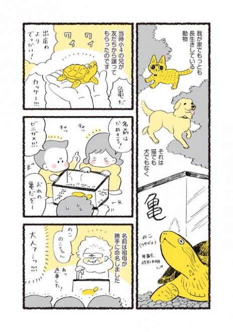 ��������Ƃ̂������