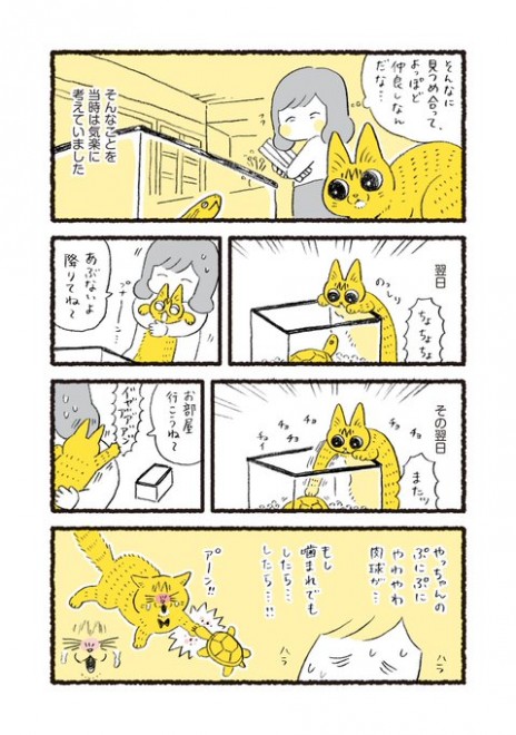 ��������Ƃ̂������