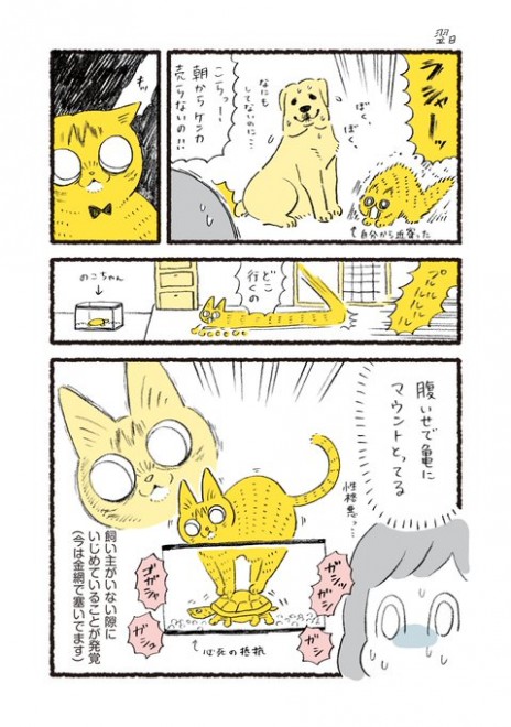 ��������Ƃ̂������