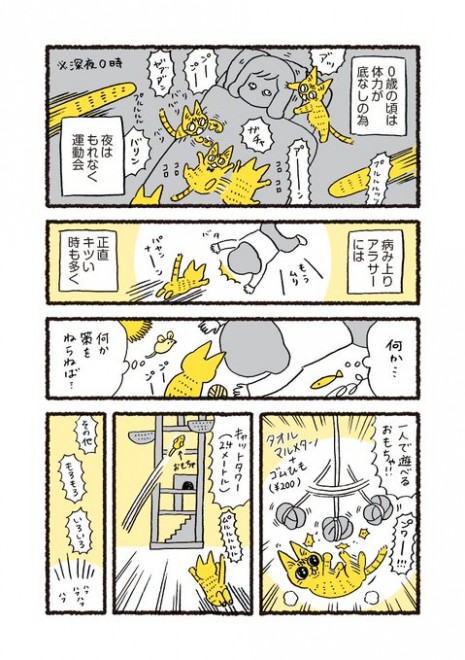 �L����������^���ʂ��z���ȏゾ����