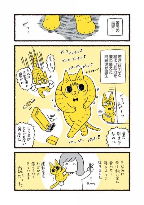 �L����������^���ʂ��z���ȏゾ����