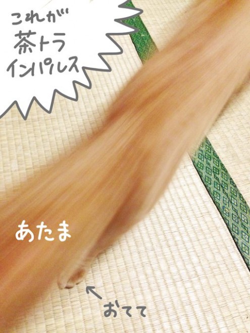 �L����������^���ʂ��z���ȏゾ����