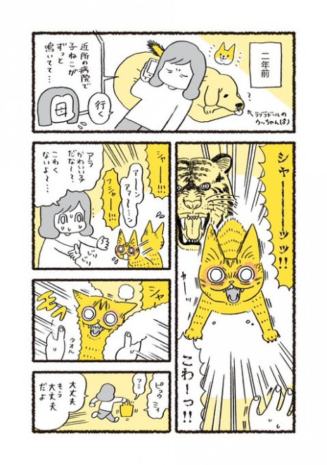 拾ったときは外で孤独に鳴き続けていた 愛猫の成長漫画に共感 作者 今の自信に満ちた姿に嬉し涙です Oricon News