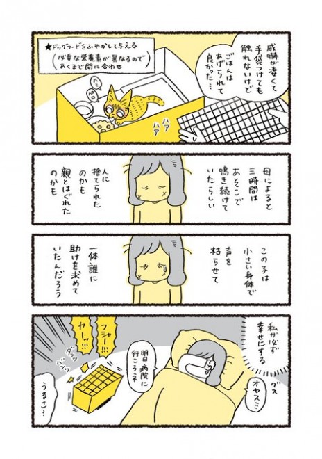 ���������ی삵�����̘b