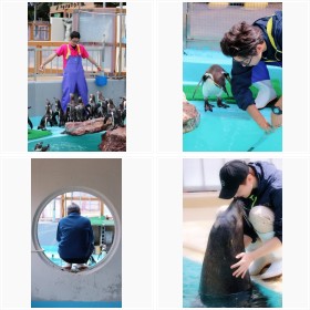 �j�l�����ق̎�������񂽂��̓���