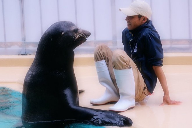 画像 写真 桂浜水族館の飼育員さんたちの日常 12枚目 Oricon News