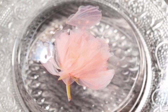 �ߏ��̓���������ɔ����Ă����đ��O�̍��[���[�B�������ł��Ԍ��C�������킦���Ƃ���