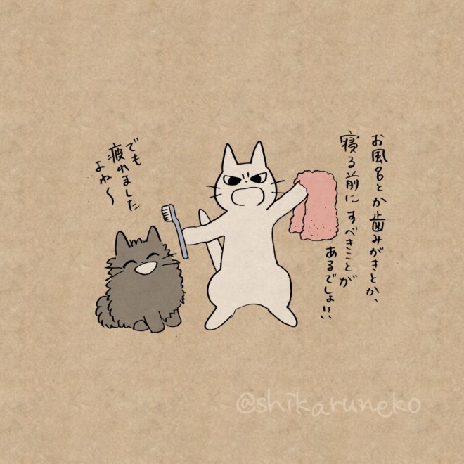 画像 写真 ネコがしっかり 見てるんだからねっ 表情豊かな しかるねこ おしかり イラスト集 1枚目 Oricon News