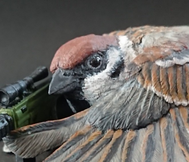 �g�`���h�i�C�p�[�A���̖ڂ͈ӊO�ɂԂ�c