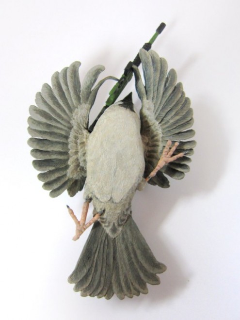 �������猩�Ă����A���I