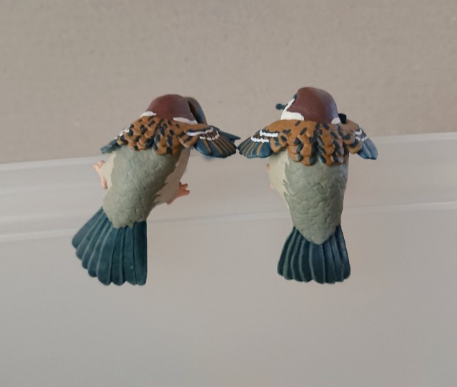 ���p�����Ȃ񂩃J���C�C�I