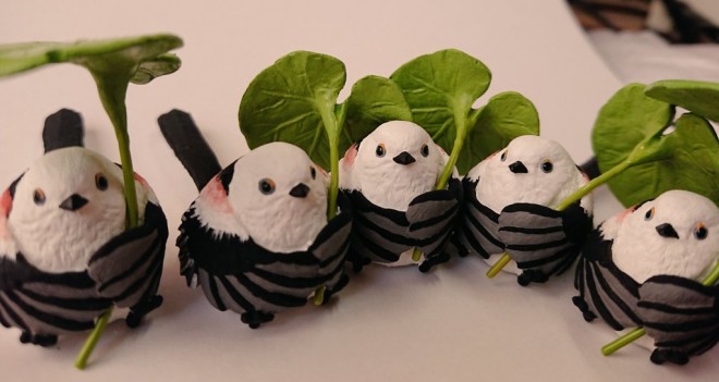 �X�i�C�p�[�Ƃ͈Ⴂ�A����ȃL���[�g�ȃV�}�G�i�K�������I