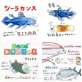 シーラカンスが絶滅しなかったのはマズかったから? 川田一輝さんイラスト集