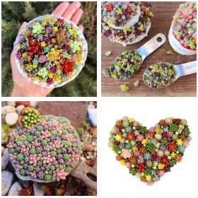 �K�`����X�v�[����������ɁI�u�����������ŉ����v�����A���񂹐A����i�W