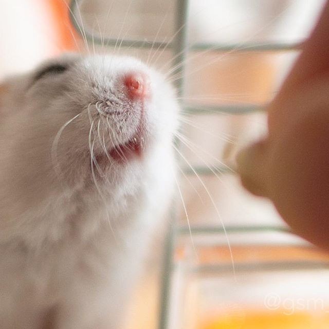 �ʐ^�񋟁F�ς邳��