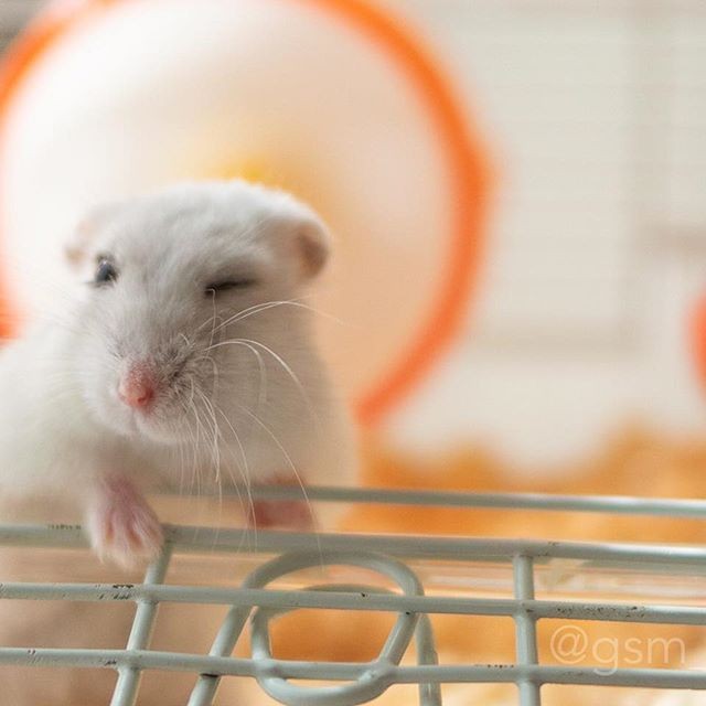 �ʐ^�񋟁F�ς邳��